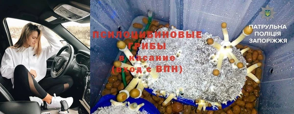 крисы Михайловка
