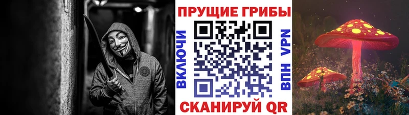 Псилоцибиновые грибы мицелий  Купить  Южа 